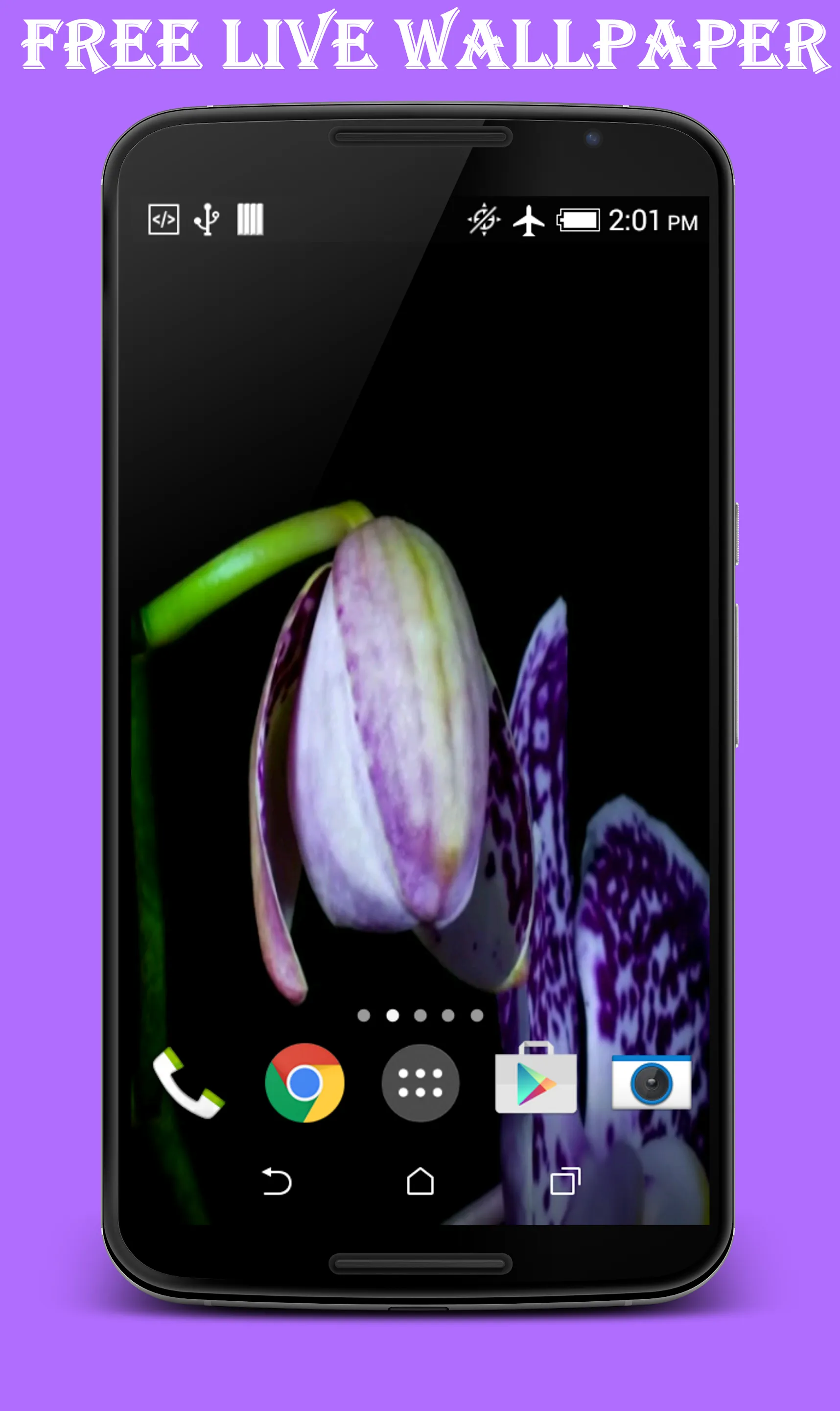 Orchid Video Live Wallpaper | Indus Appstore | Screenshot