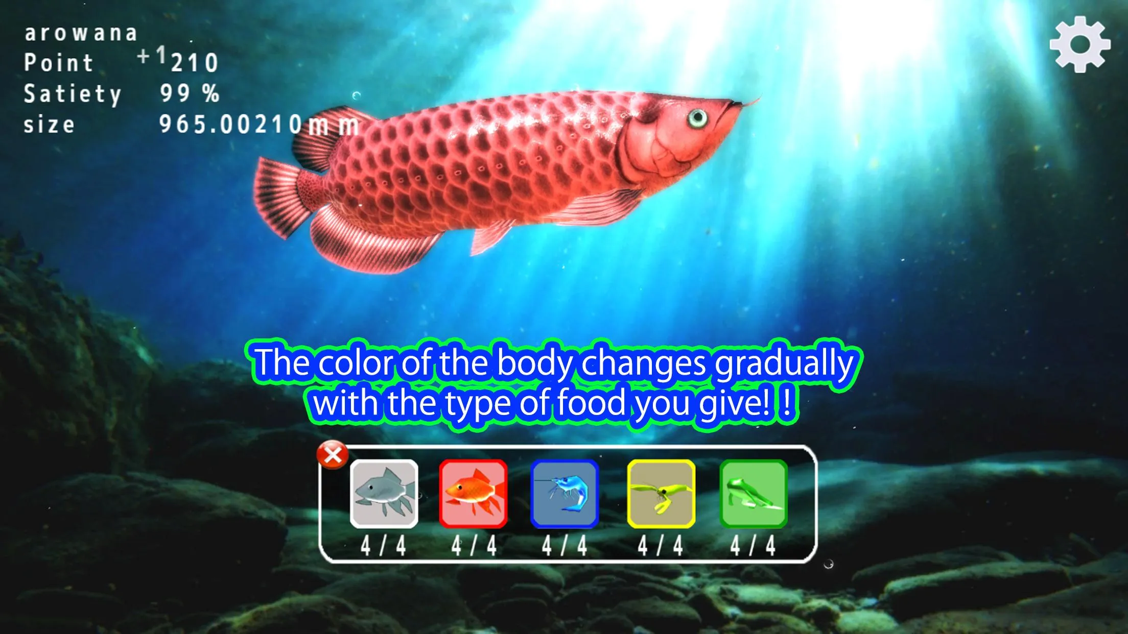 Arowana raising from fry | Indus Appstore | Screenshot