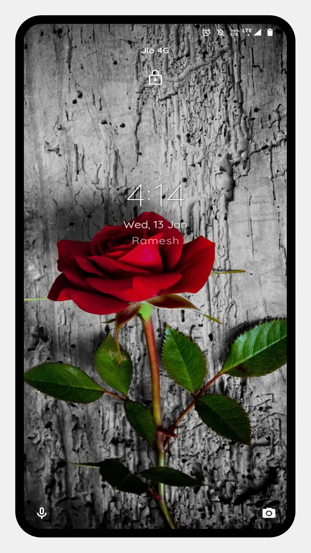 Red Rose HD Wallpapers | Indus Appstore | Screenshot