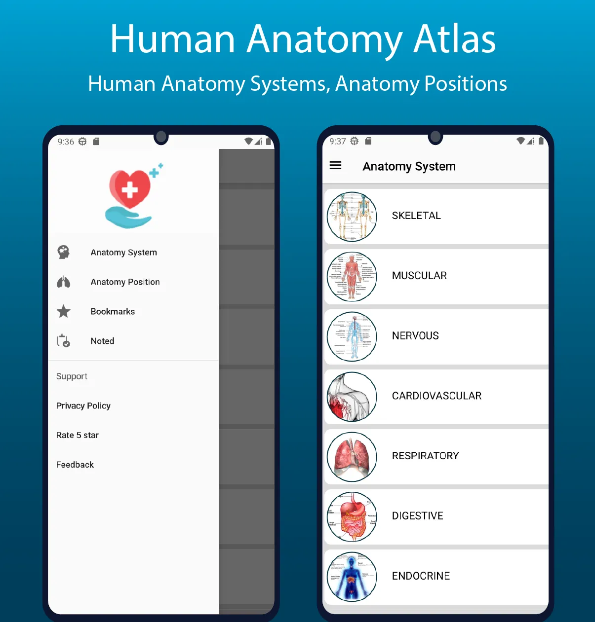 Human Anatomy Handbook | Indus Appstore | Screenshot