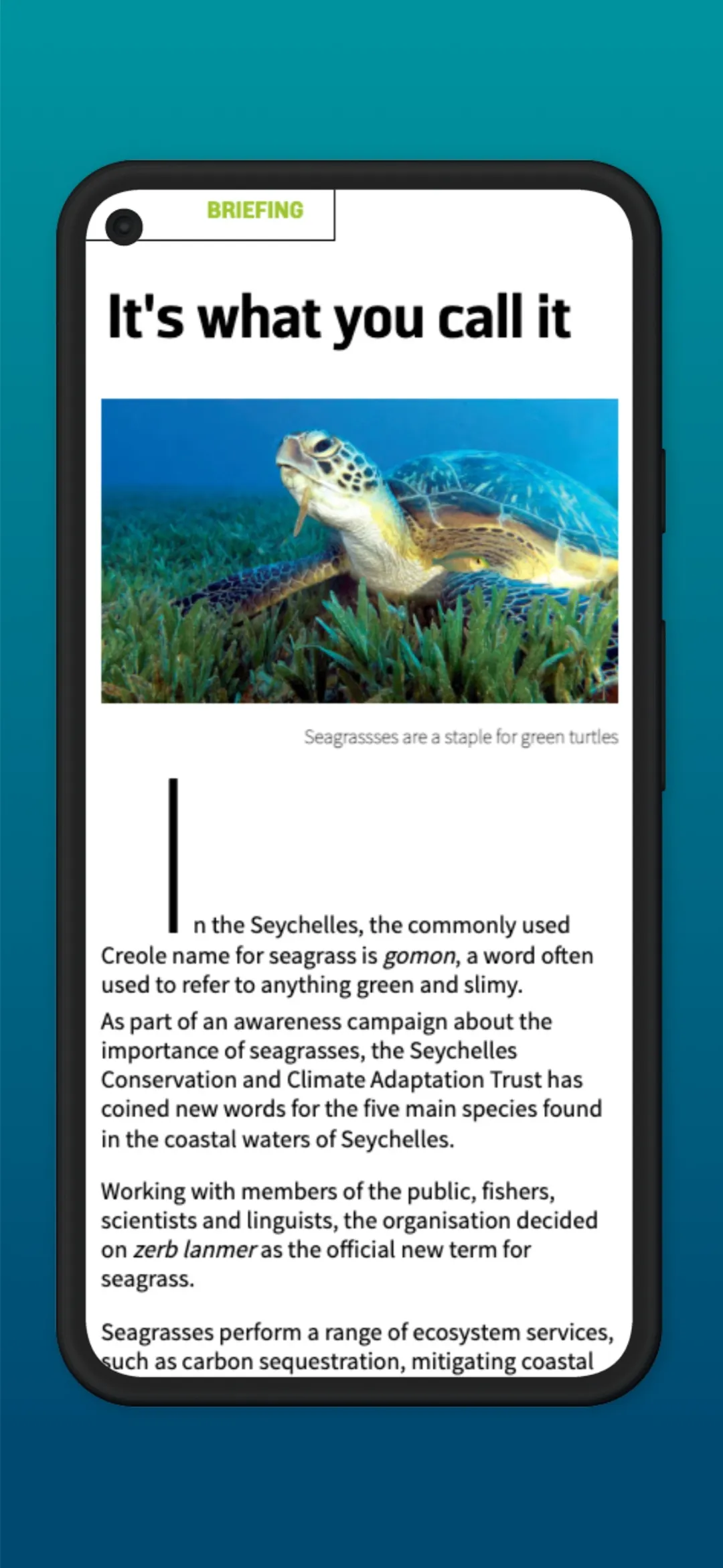 DIVE Magazine | Indus Appstore | Screenshot