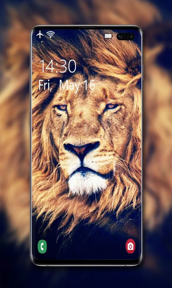 Lion Wallpaper | Indus Appstore | Screenshot