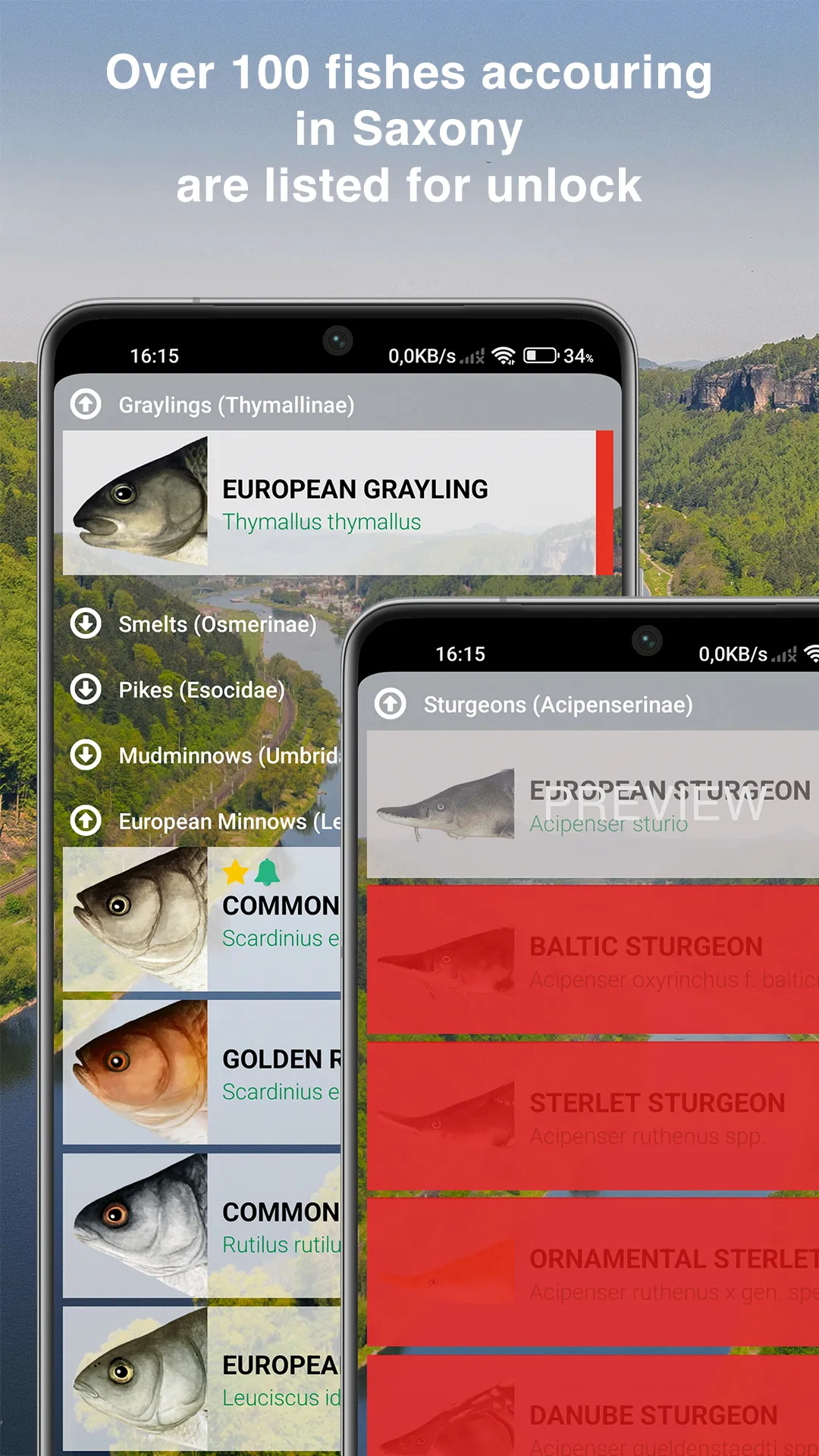 Fishguide Saxony | Indus Appstore | Screenshot