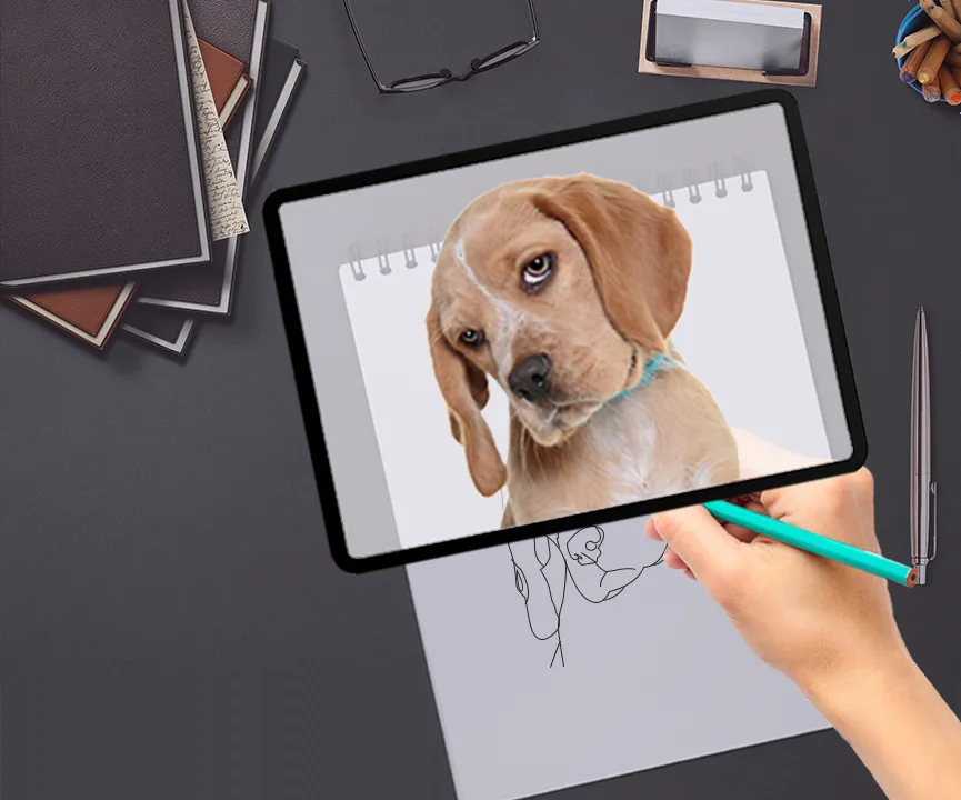 Drawing Sketch And Trace | Indus Appstore | Screenshot