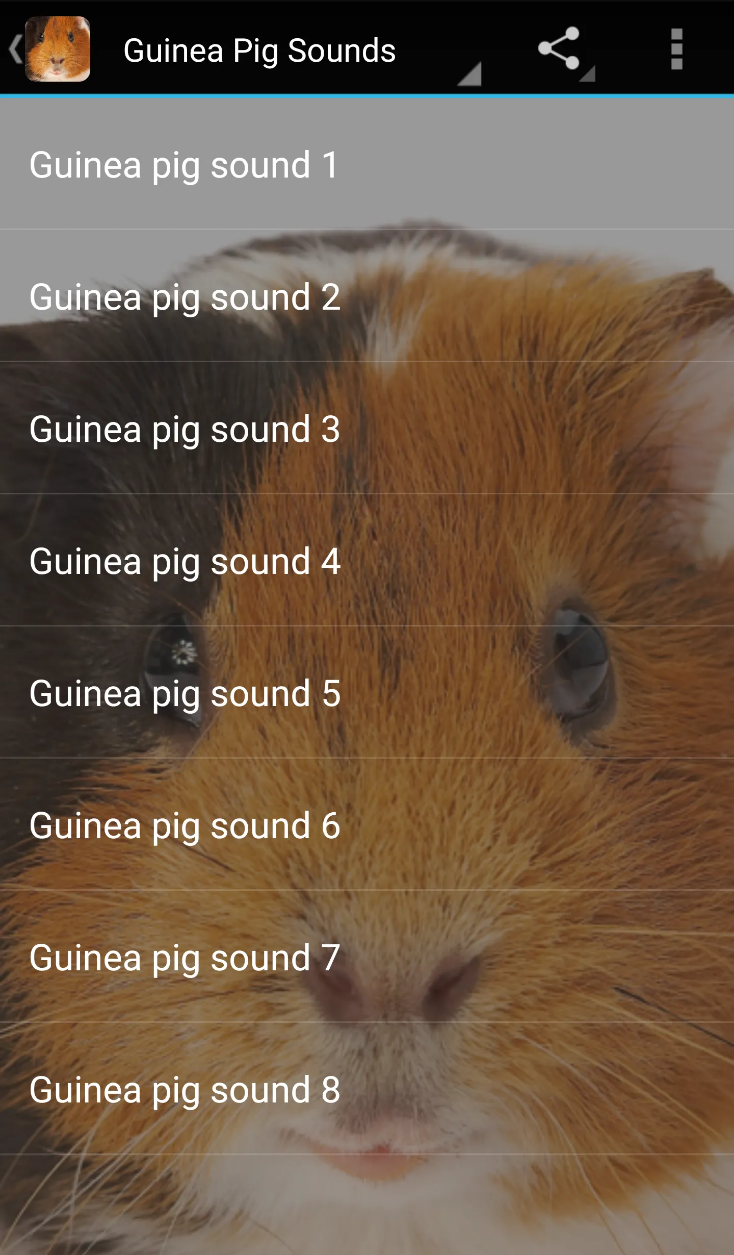 Guinea Pig Sounds | Indus Appstore | Screenshot