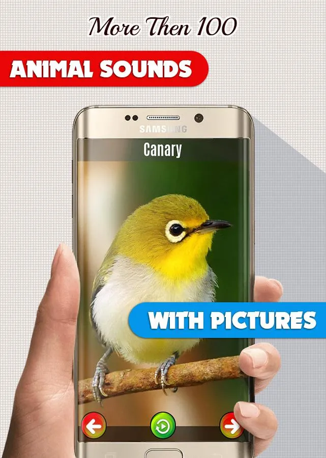 Animal Sounds: With Images | Indus Appstore | Screenshot