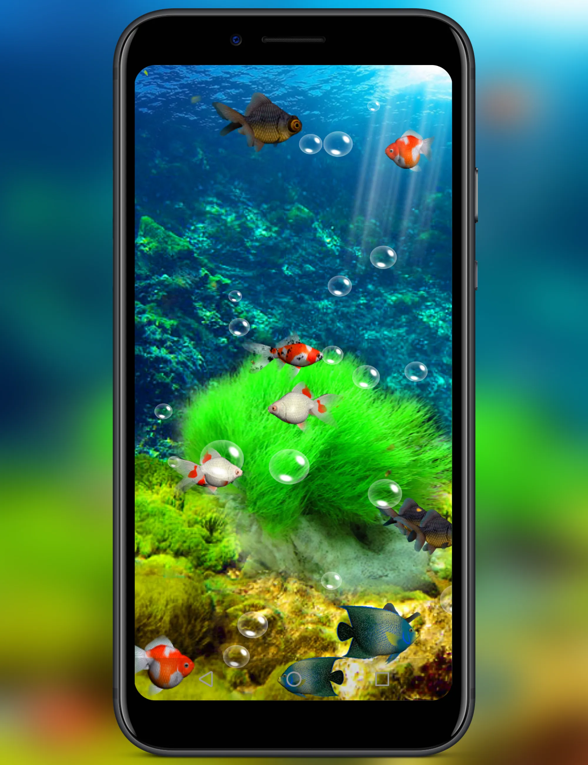 Aquarium | Indus Appstore | Screenshot