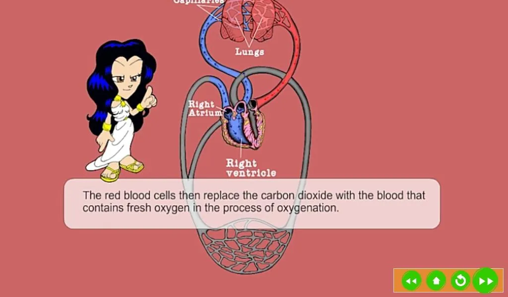 Circulatory System | Indus Appstore | Screenshot