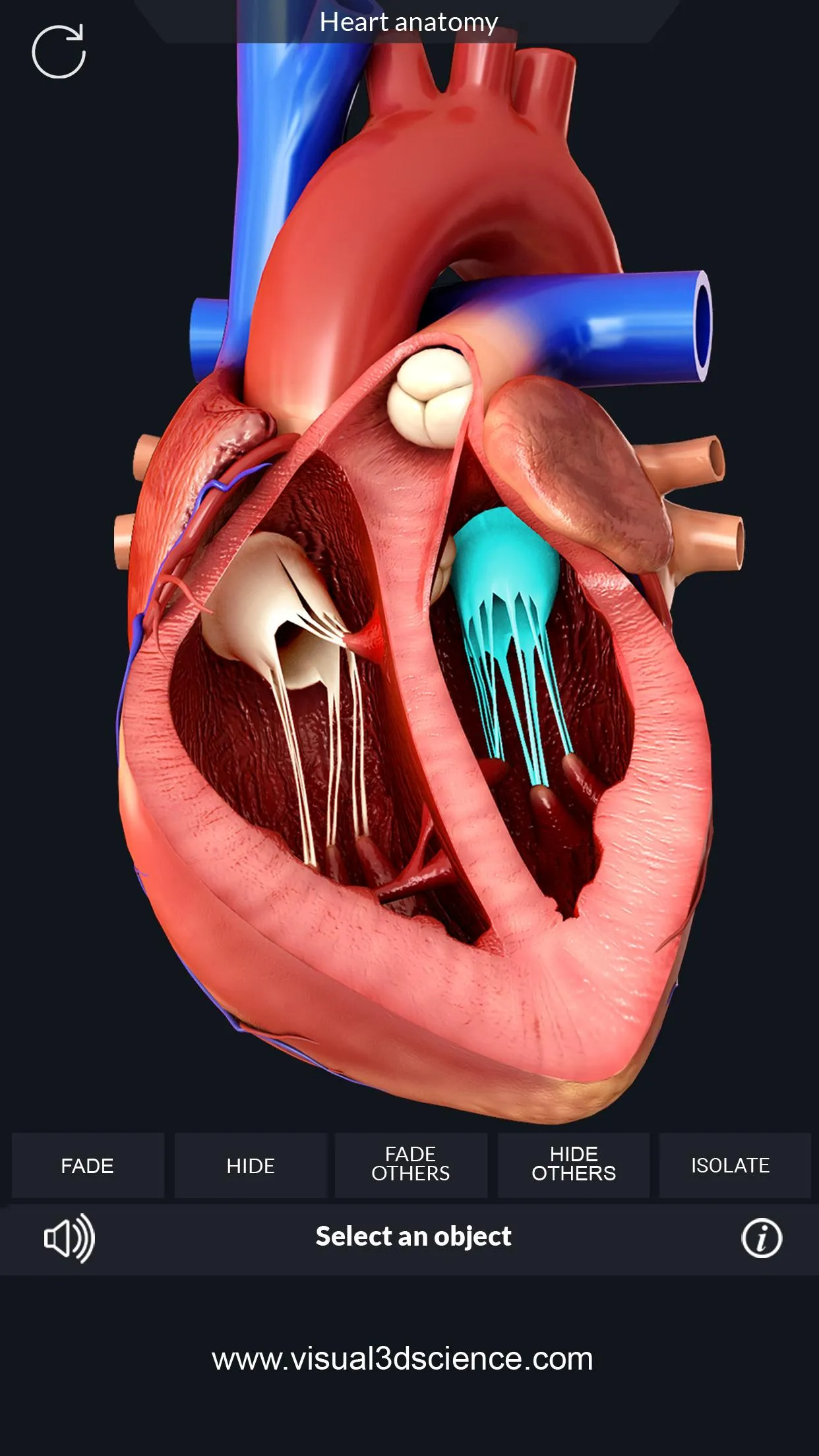 Heart Anatomy Pro. | Indus Appstore | Screenshot