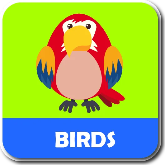 ABC alphabet phonic song | Indus Appstore | Screenshot