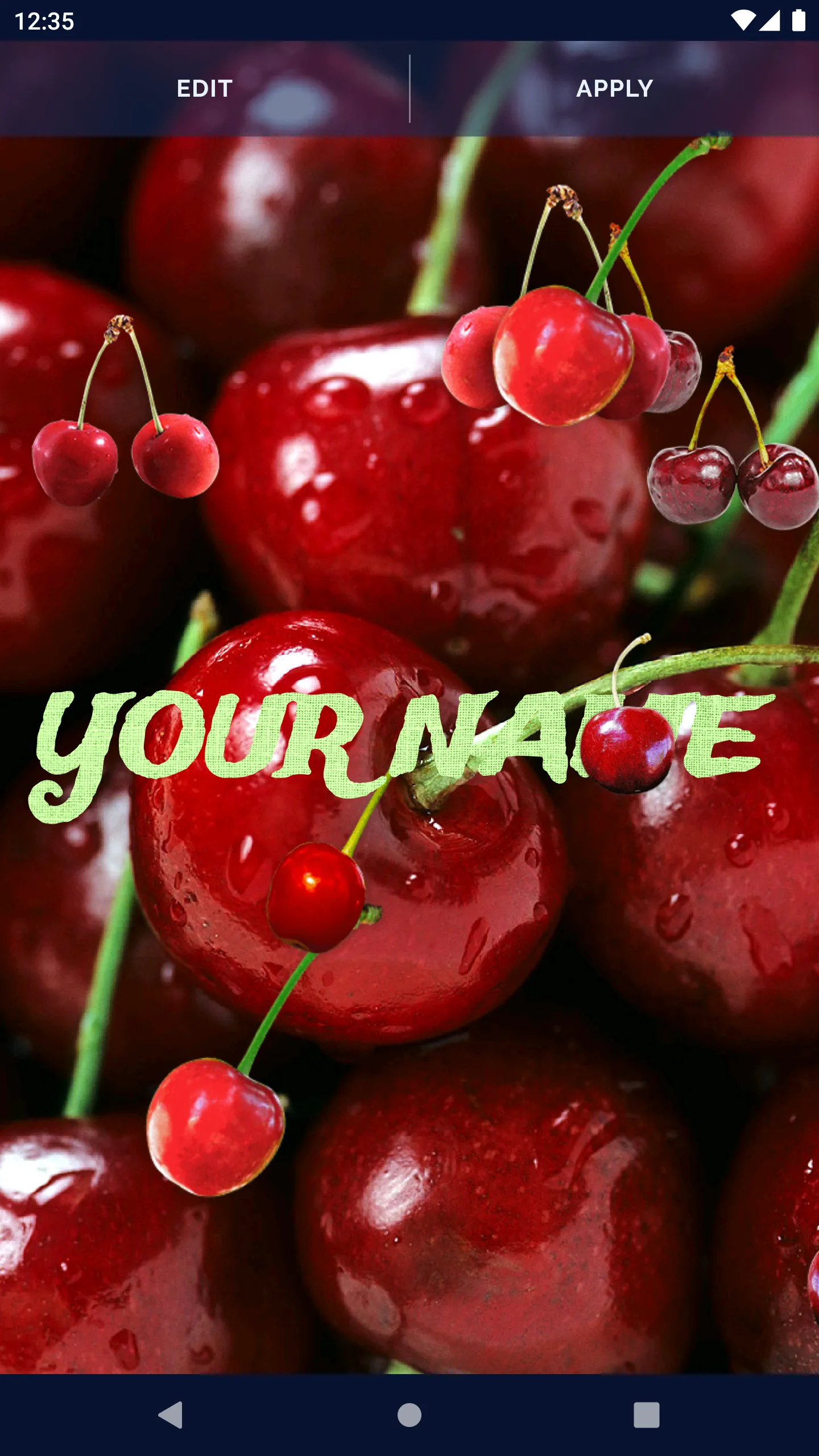 Summer Cherry Live Wallpaper | Indus Appstore | Screenshot