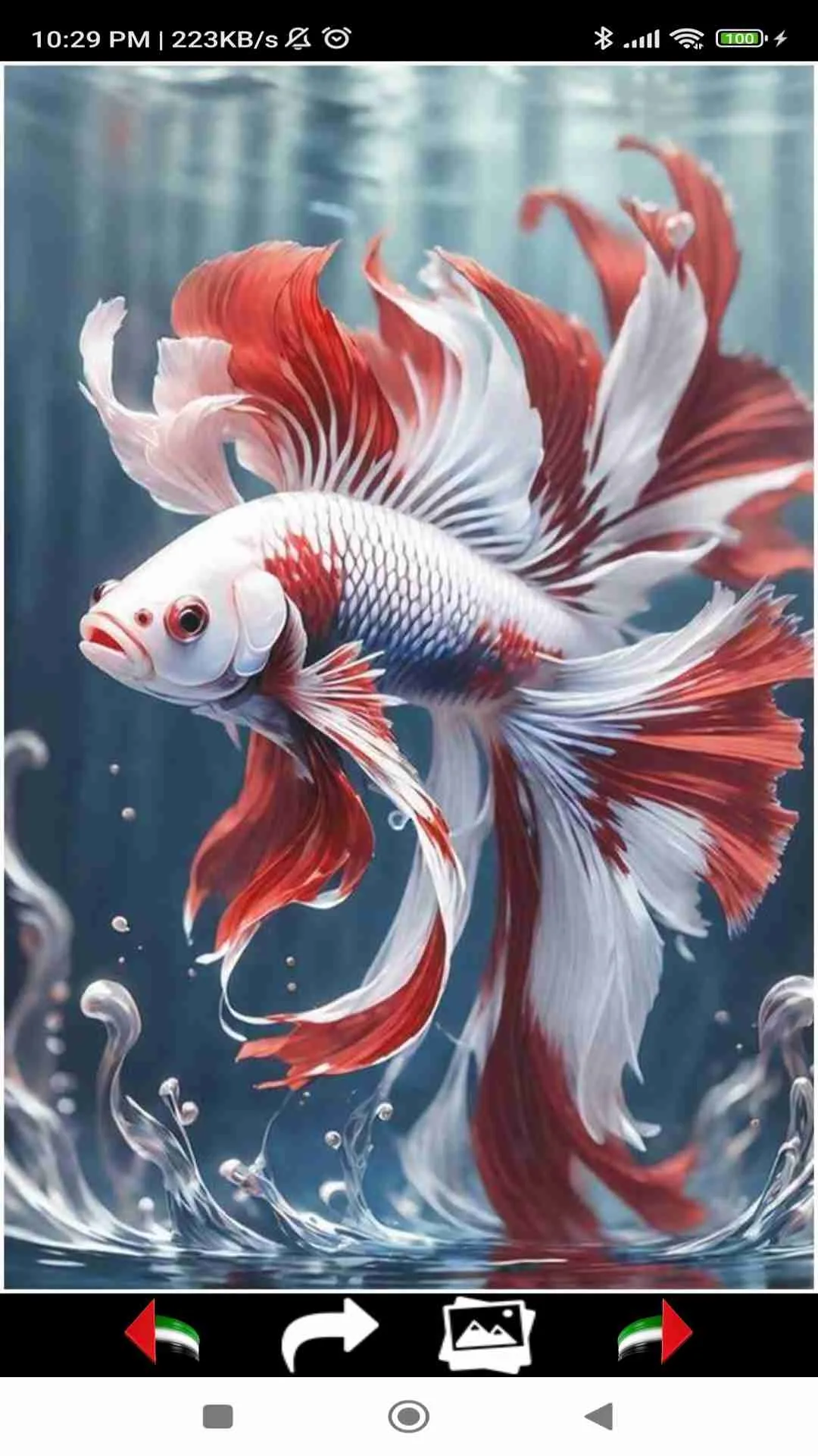 Sea Life Wallpapers | Indus Appstore | Screenshot