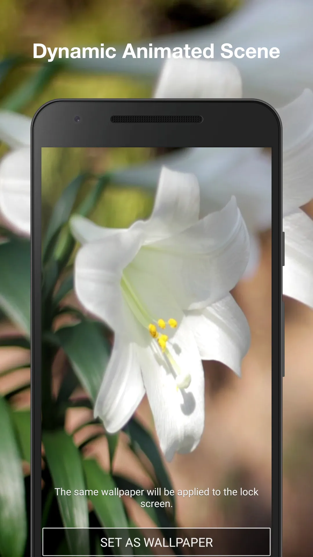 Easter Lilies Live Wallpaper | Indus Appstore | Screenshot