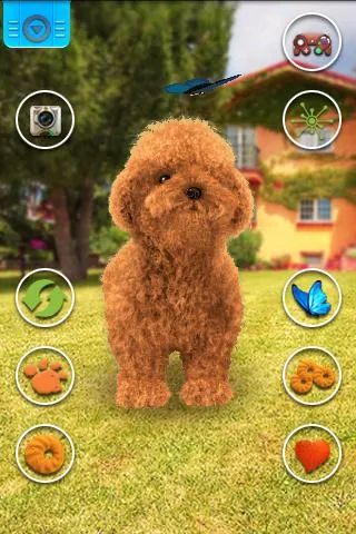 Talking Teddy Dog | Indus Appstore | Screenshot