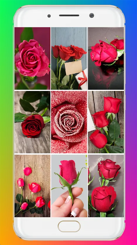 Red Rose Wallpaper 2020 | Indus Appstore | Screenshot