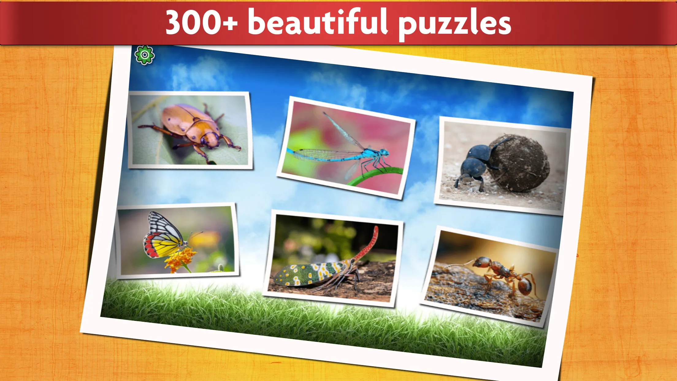 Insect Jigsaw Puzzle Game Kids | Indus Appstore | Screenshot