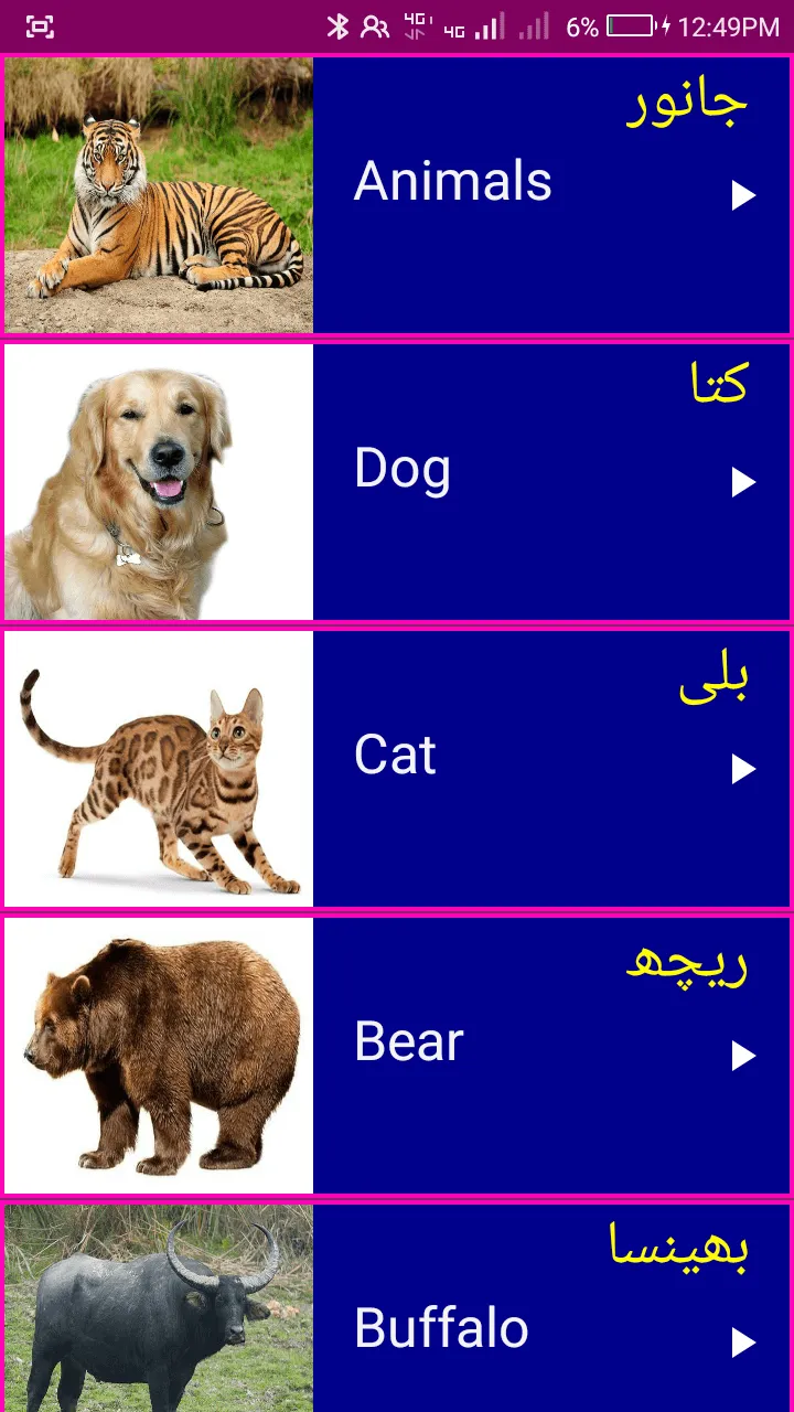 Learn English From Urdu | Indus Appstore | Screenshot