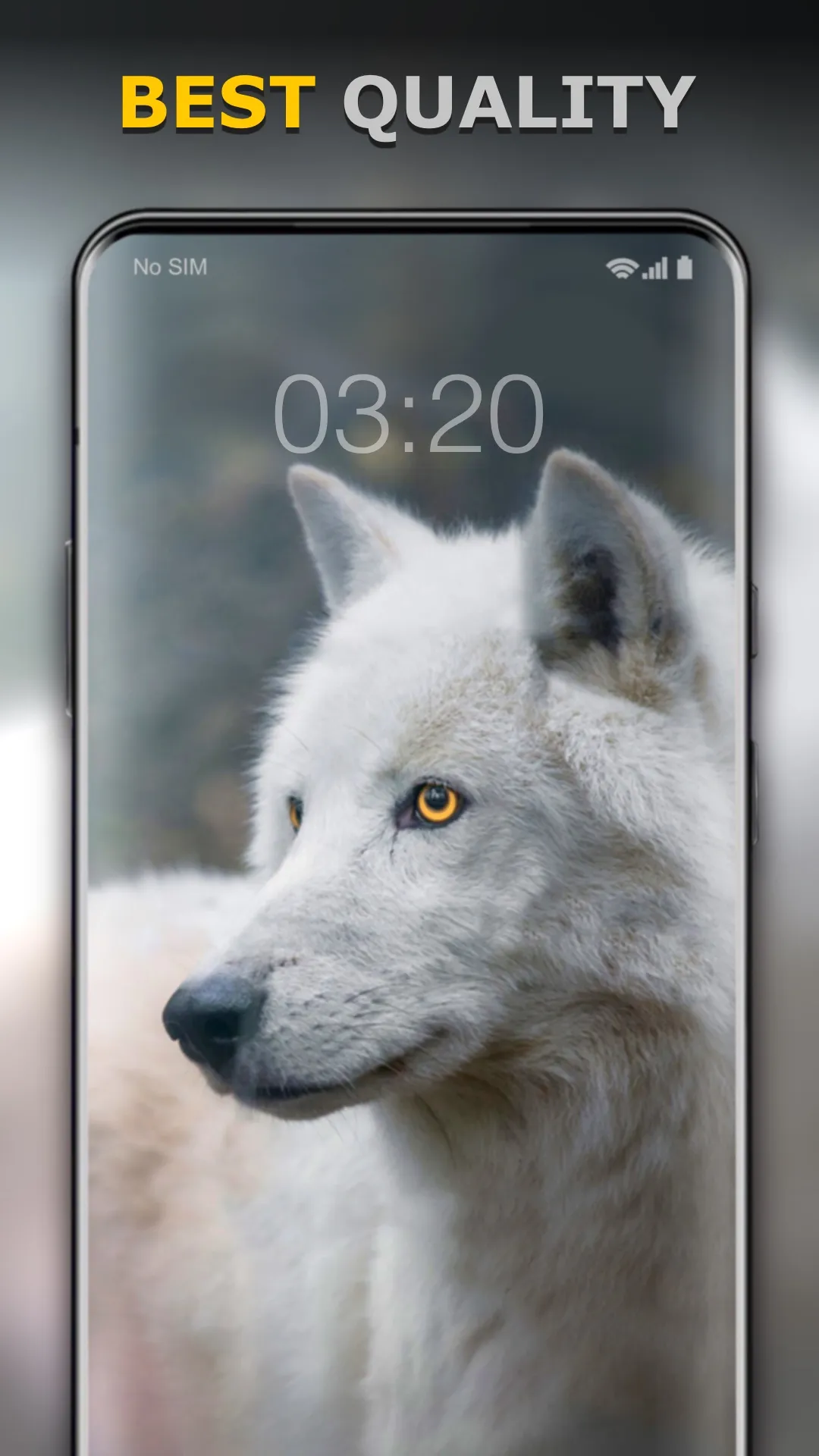 Wolf Wallpaper HD: Backgrounds | Indus Appstore | Screenshot