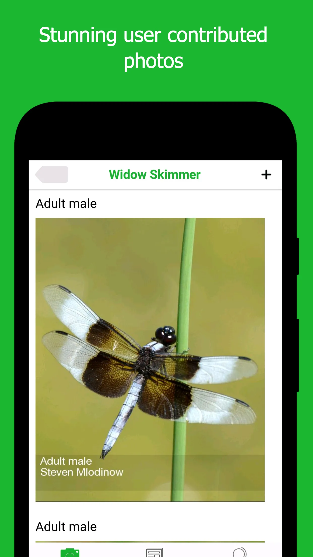 Dragonfly ID | Indus Appstore | Screenshot