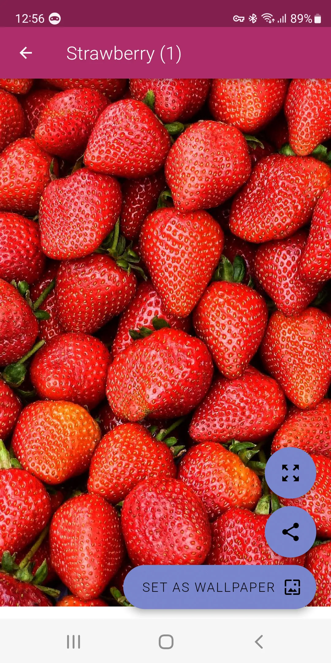 Strawberry Wallpapers | Indus Appstore | Screenshot