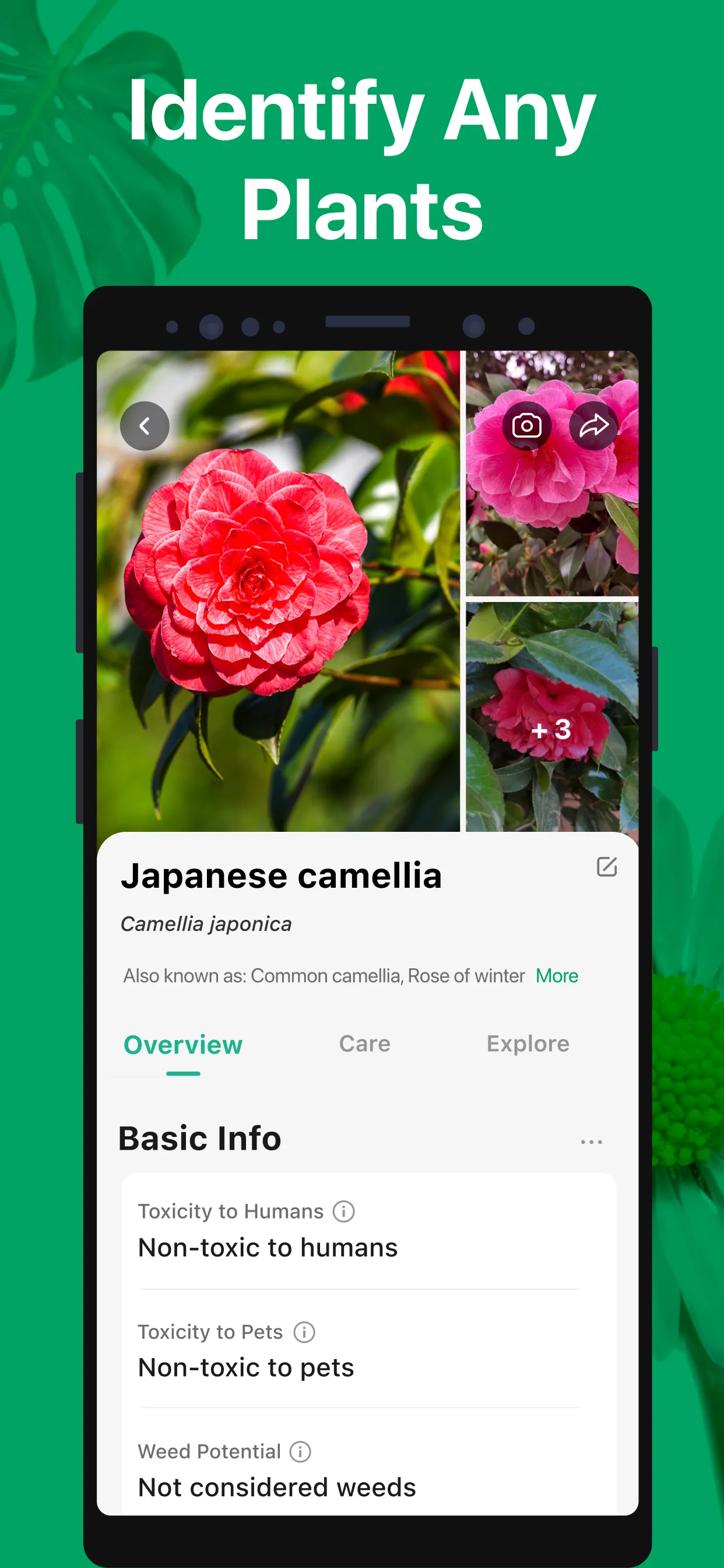 PictureThis - Plant Identifier | Indus Appstore | Screenshot