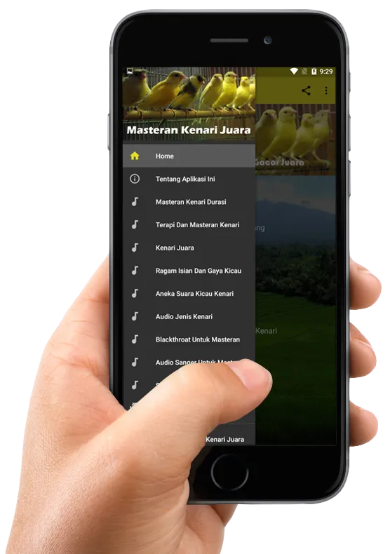 Masteran Kenari Juara | Indus Appstore | Screenshot