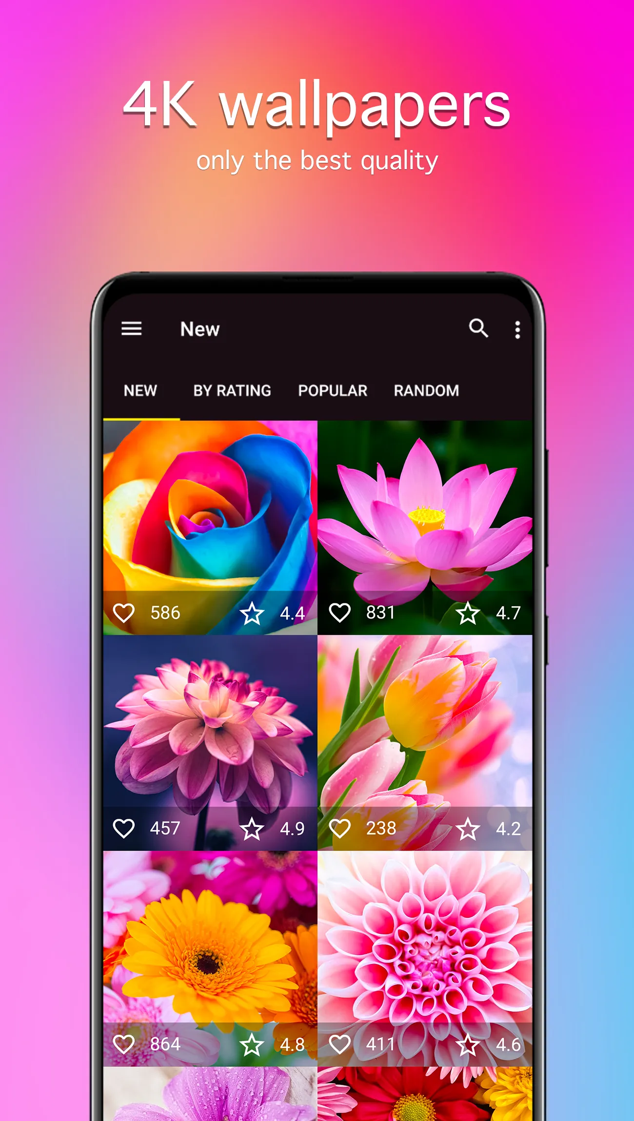 Flower Wallpapers 4K | Indus Appstore | Screenshot