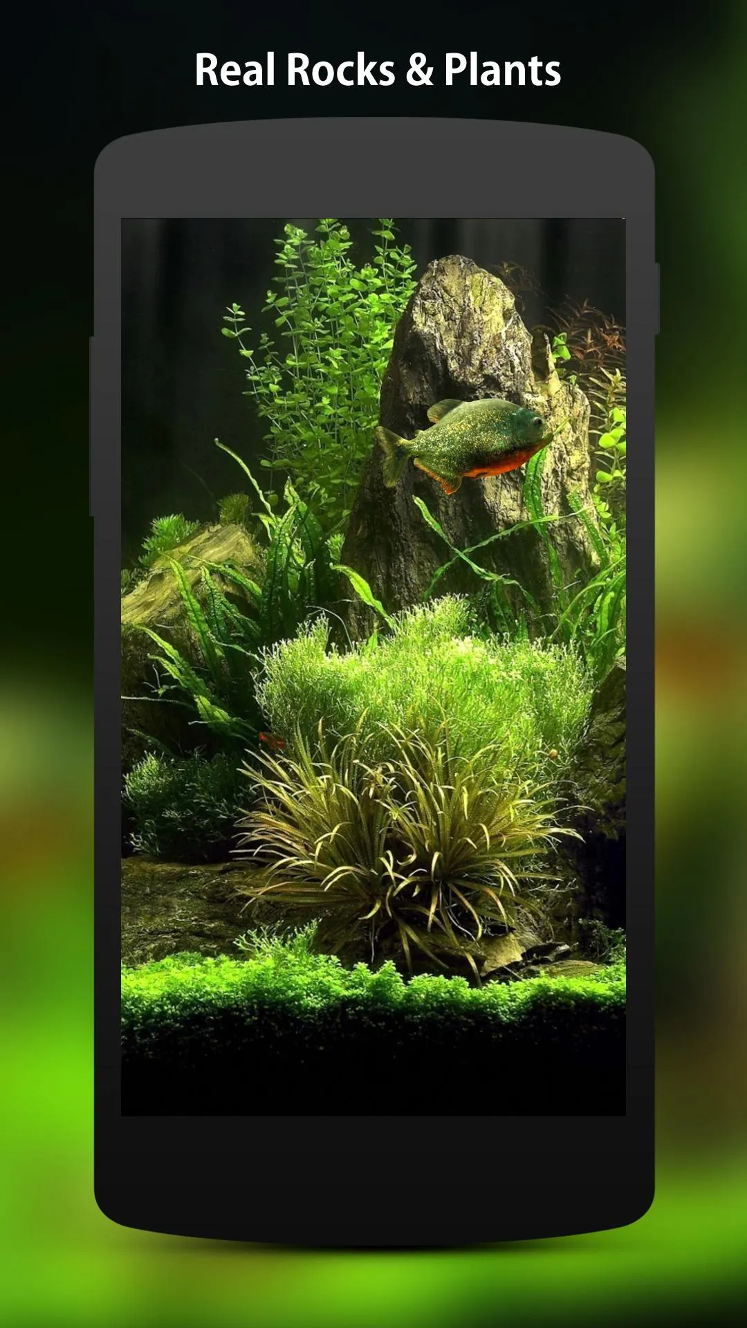 3D Fish Aquarium Wallpaper HD | Indus Appstore | Screenshot