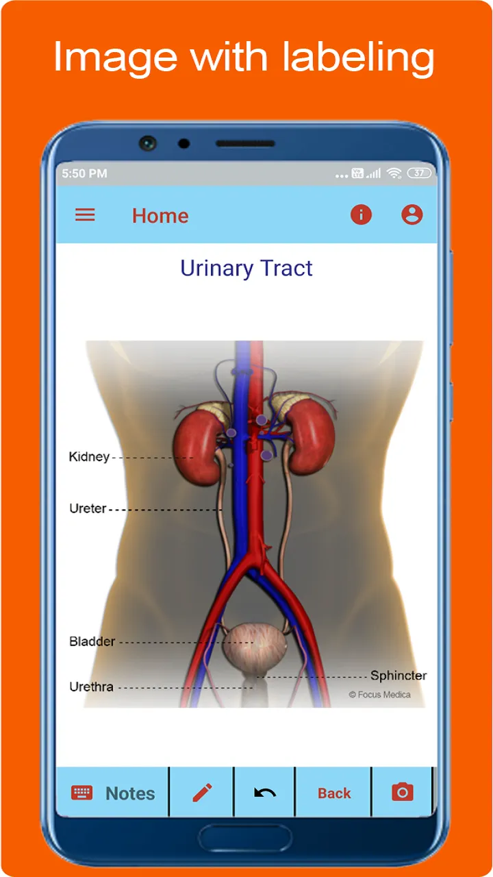 Silodal - Atlas of Urology | Indus Appstore | Screenshot