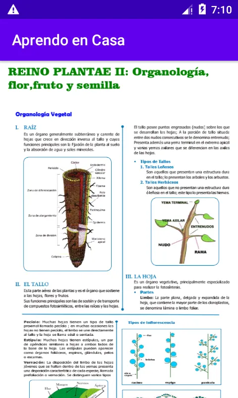 Educación Gratuita | Indus Appstore | Screenshot