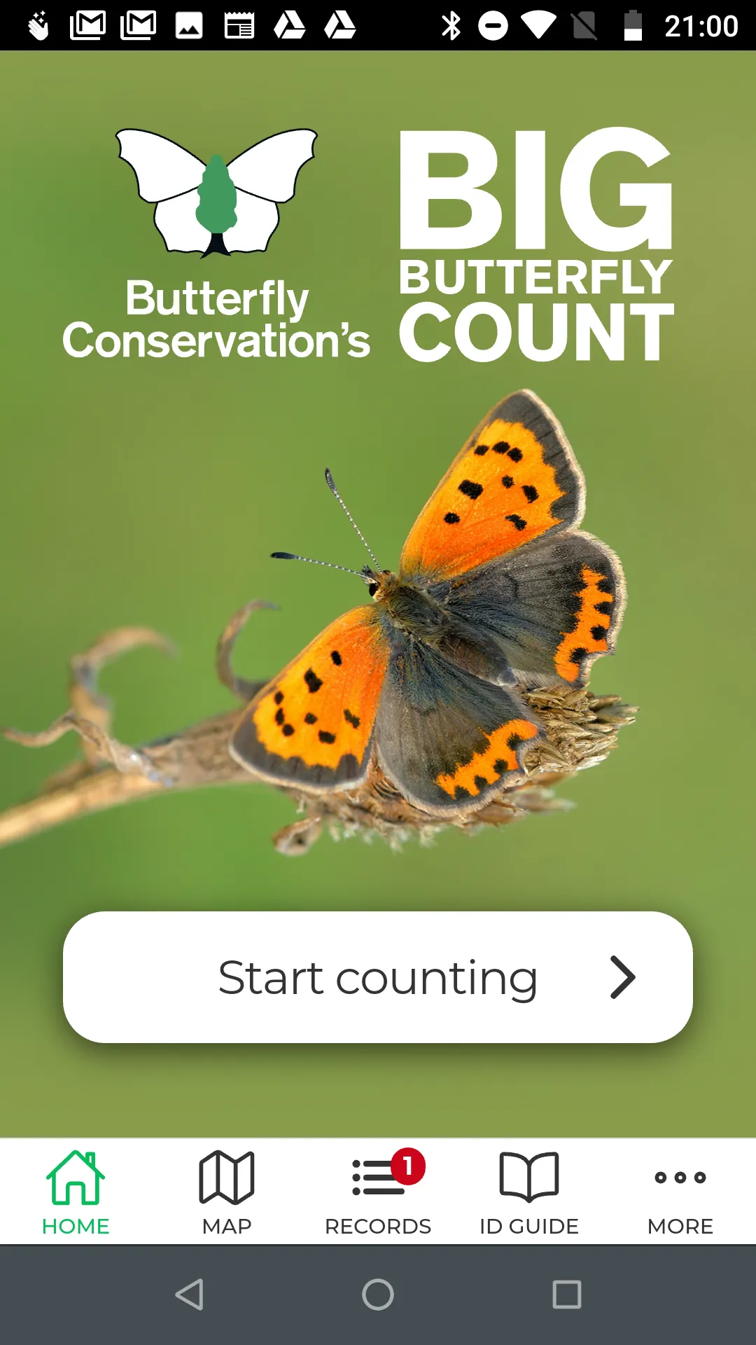 Big Butterfly Count | Indus Appstore | Screenshot