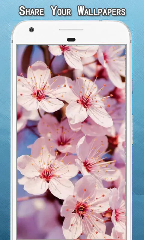 Spring Wallpapers Hd | Indus Appstore | Screenshot