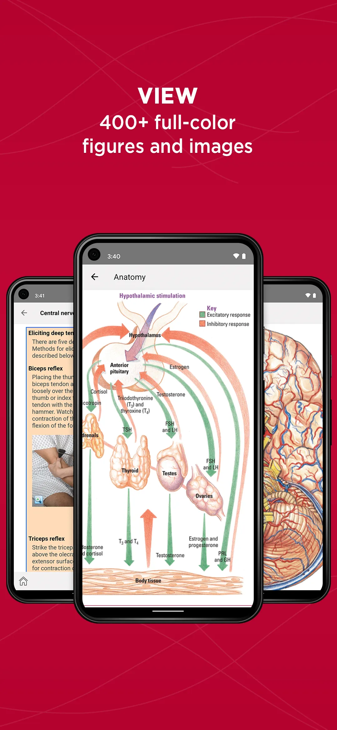 Anatomy & Physiology Made Easy | Indus Appstore | Screenshot