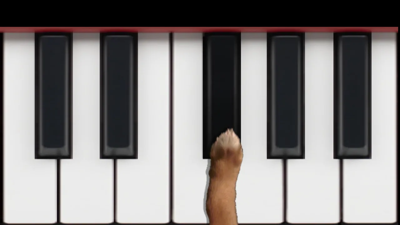 Dog Piano | Indus Appstore | Screenshot