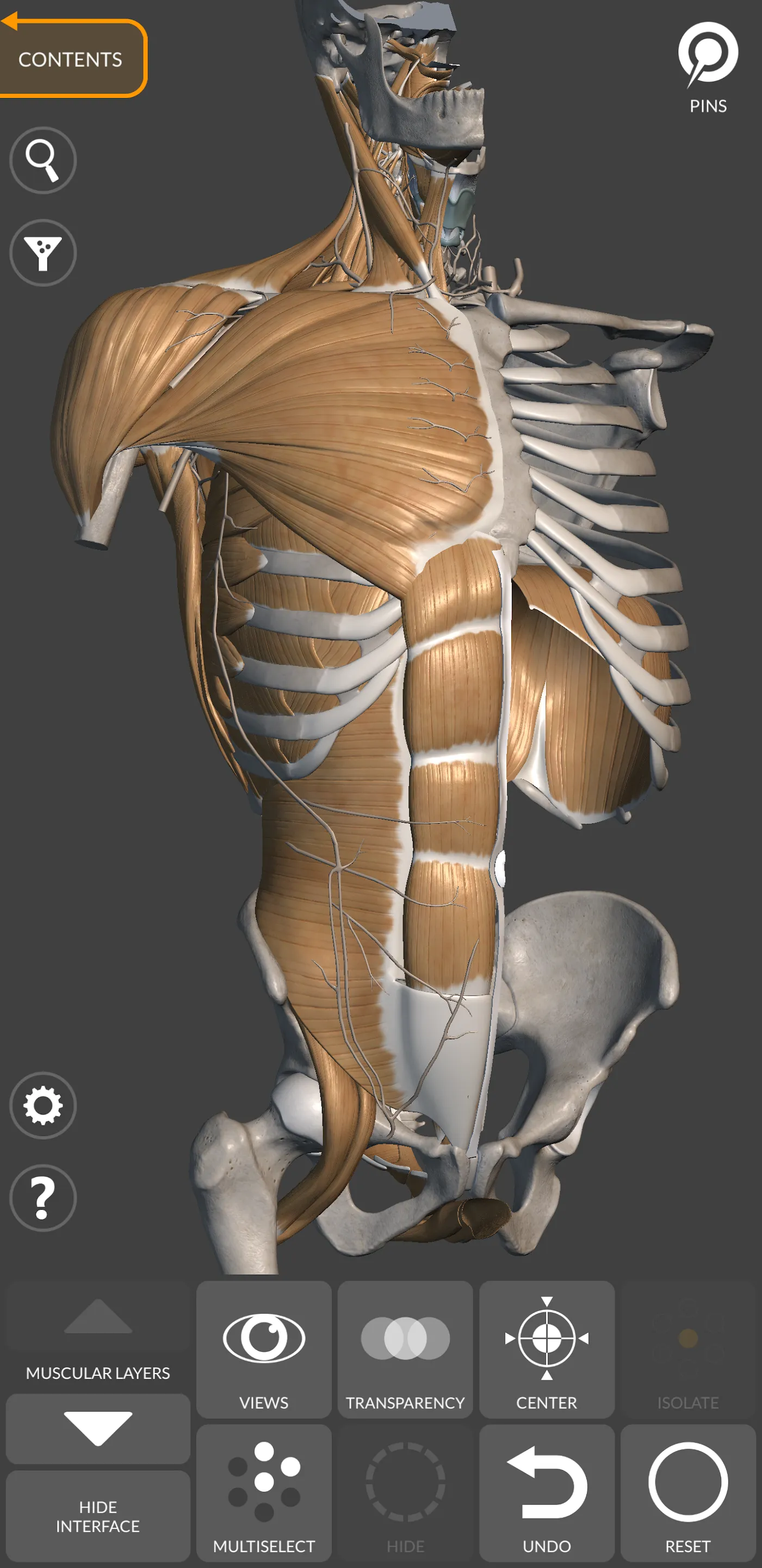 3D Anatomy for the Artist | Indus Appstore | Screenshot