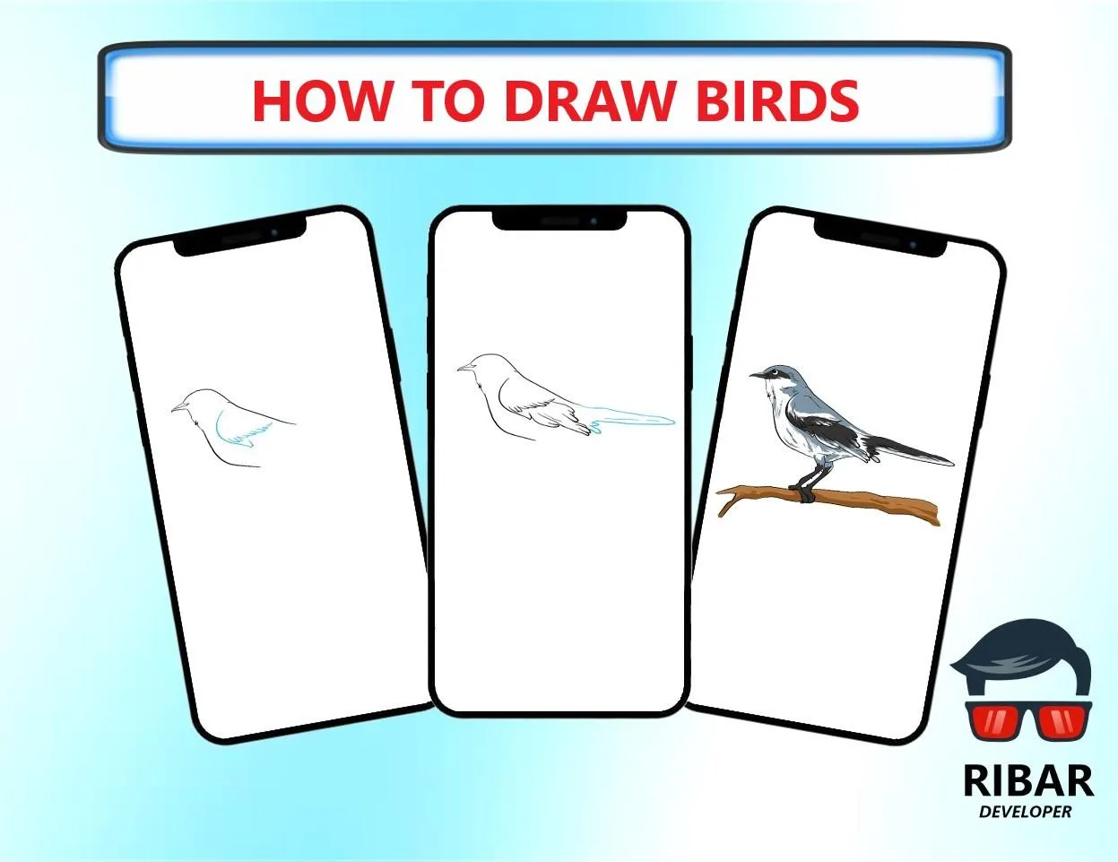 How To Draw Birds | Indus Appstore | Screenshot