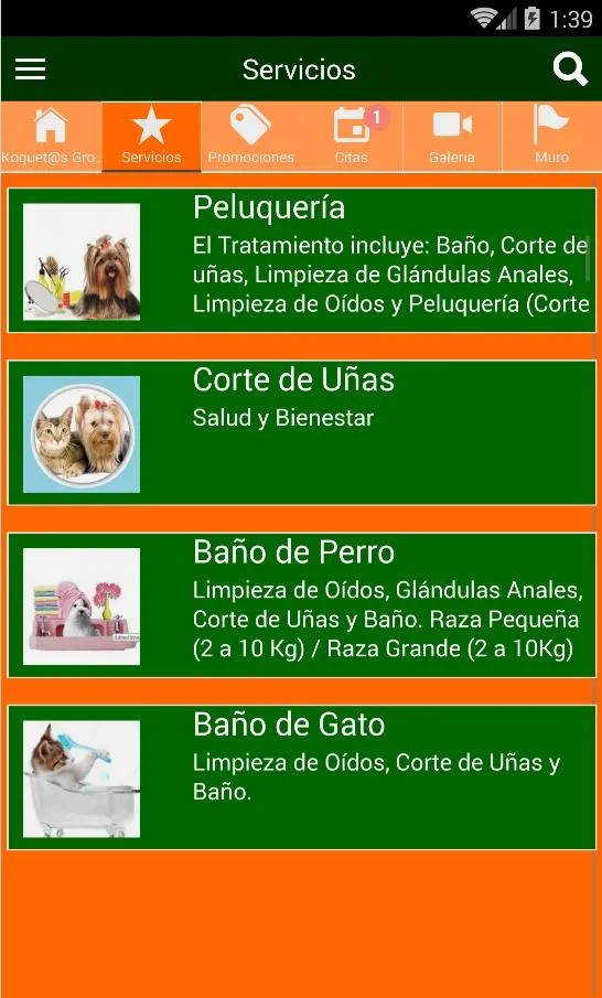 Koquetos Grooming | Indus Appstore | Screenshot