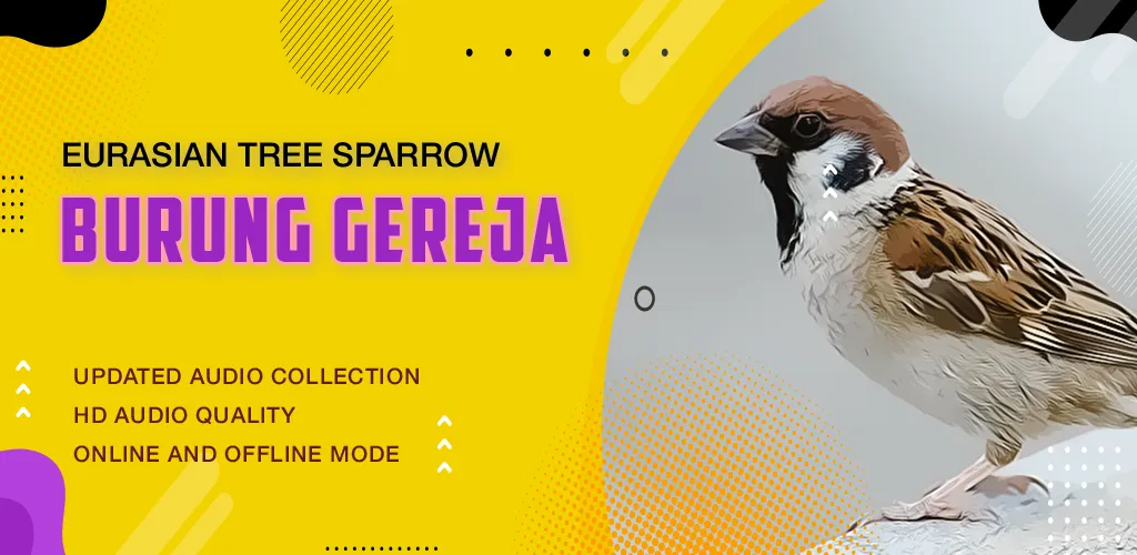 Bird: Eurasian Tree Sparrow | Indus Appstore | Screenshot