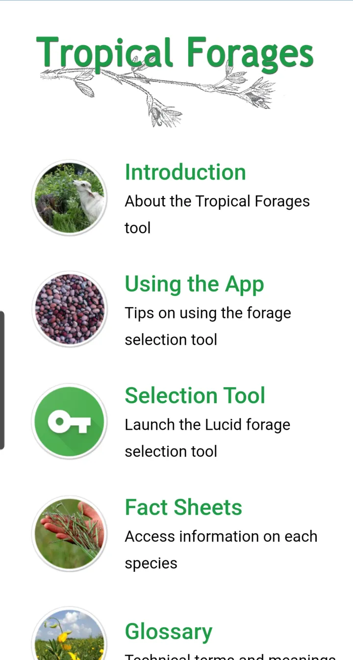 Tropical Forages | Indus Appstore | Screenshot