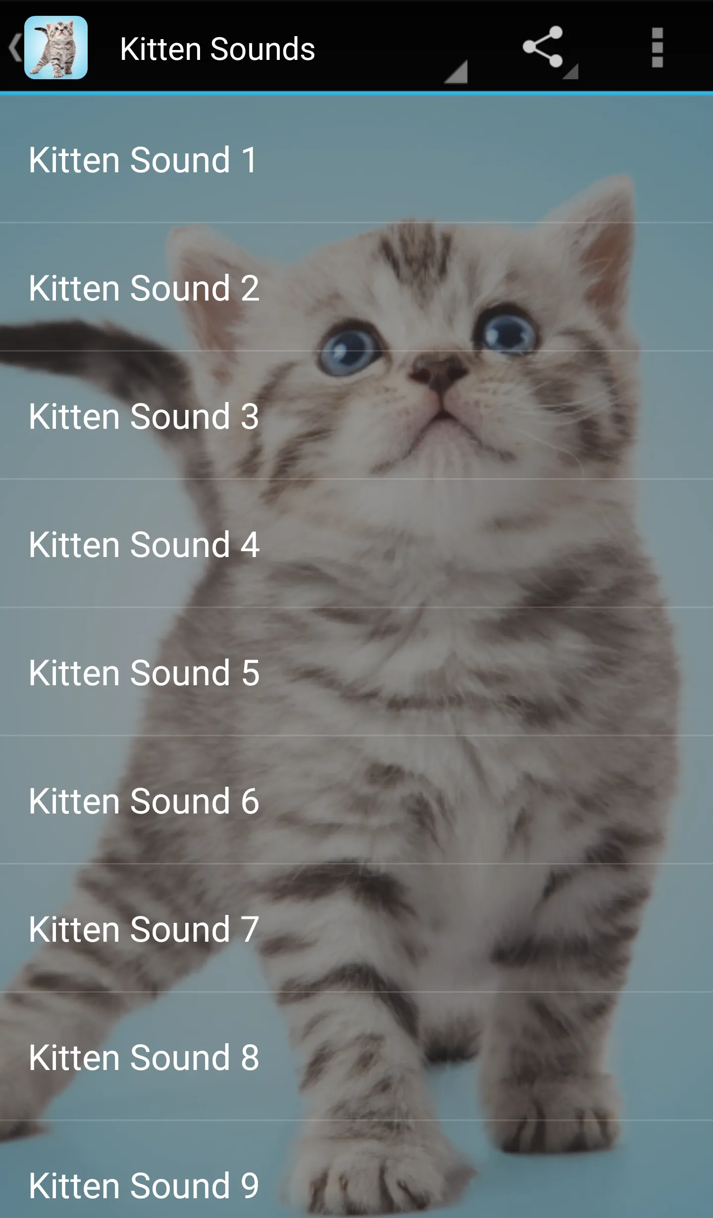 Kitten Sounds | Indus Appstore | Screenshot