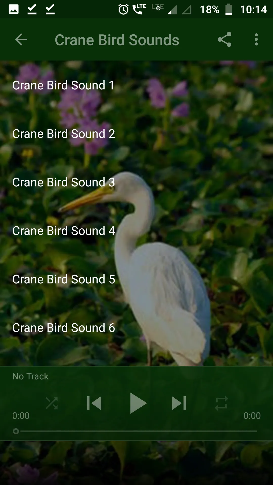 Crane Bird Sounds | Indus Appstore | Screenshot