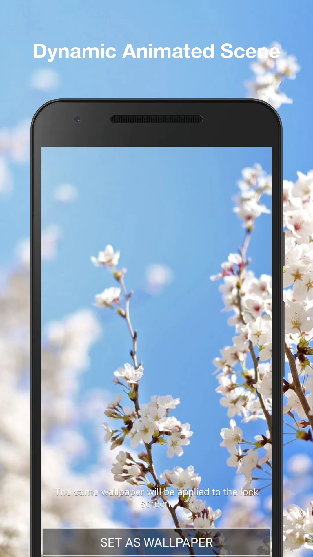 Cherry Blossom Live Wallpaper | Indus Appstore | Screenshot