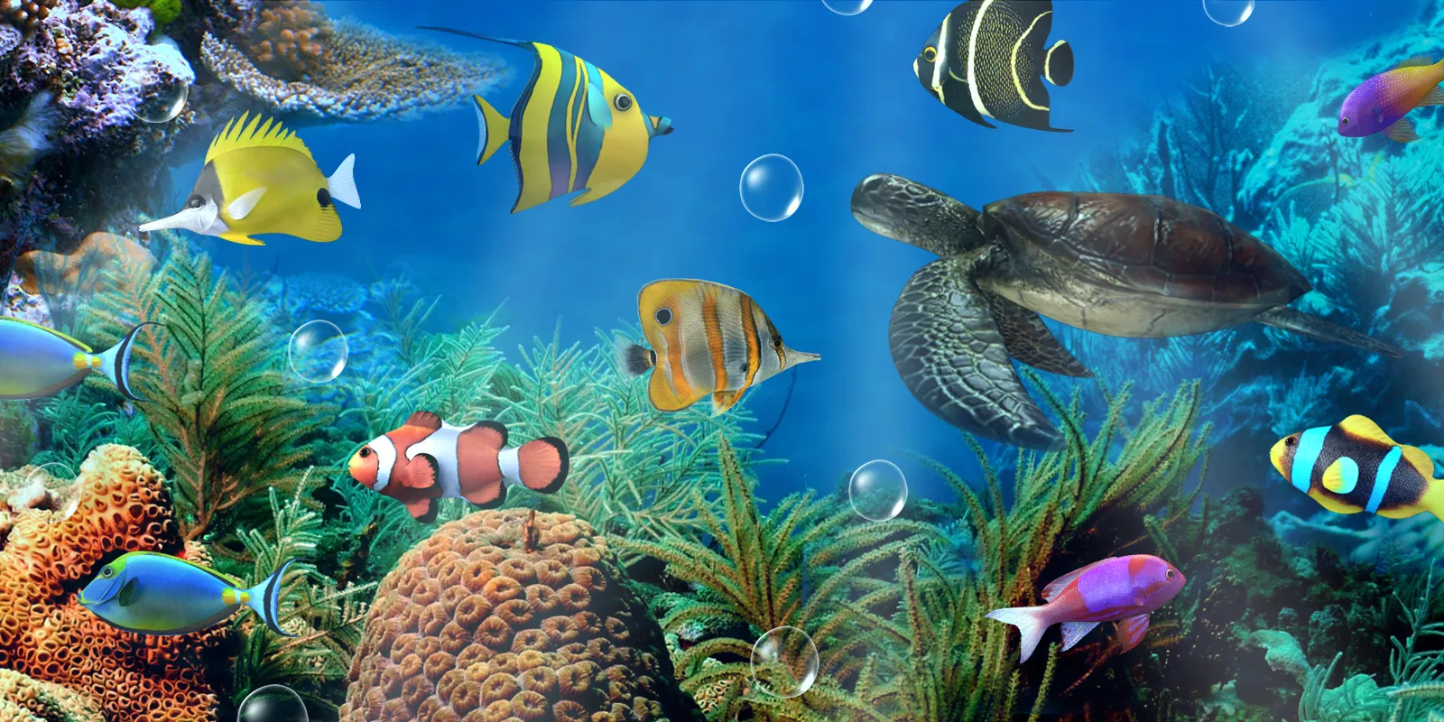 Aquarium live wallpaper | Indus Appstore | Screenshot