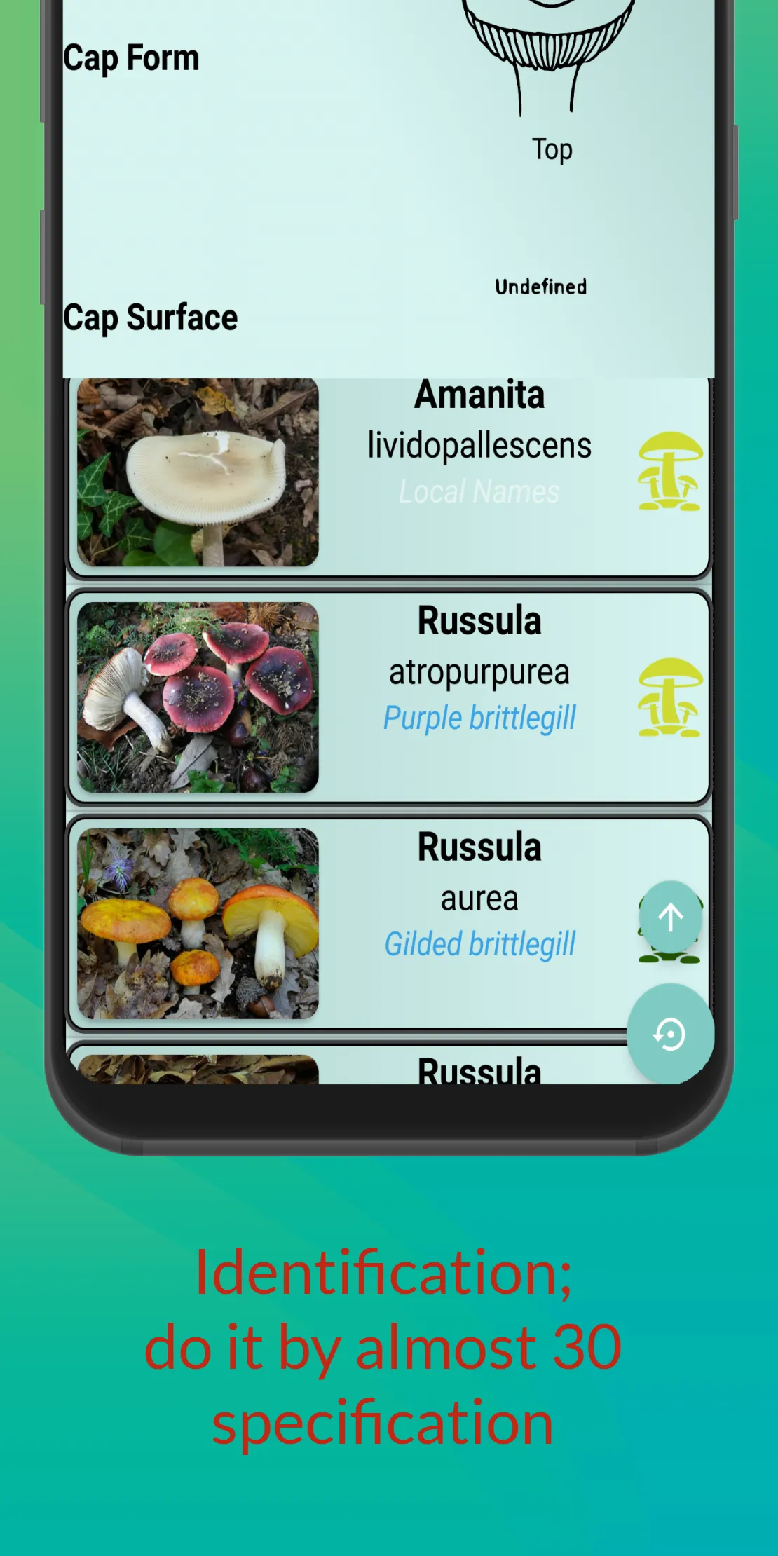 Mushroom Hunter's Guide | Indus Appstore | Screenshot