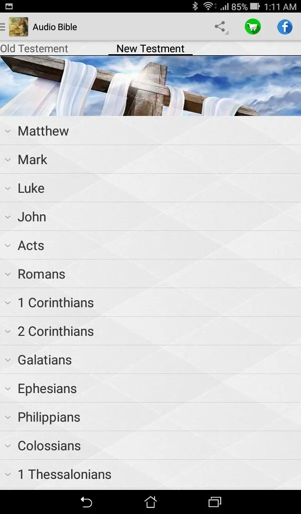 Bible Audio Niv | Indus Appstore | Screenshot