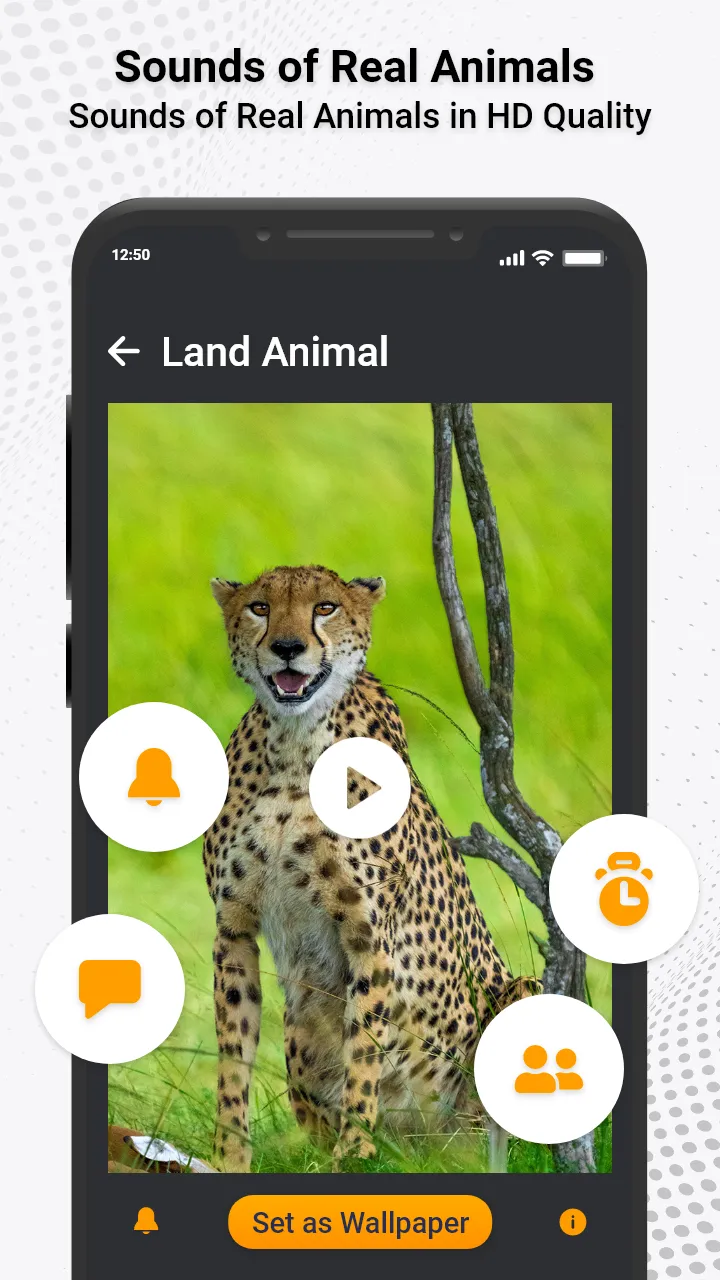 Animal Ringtones & Sounds | Indus Appstore | Screenshot