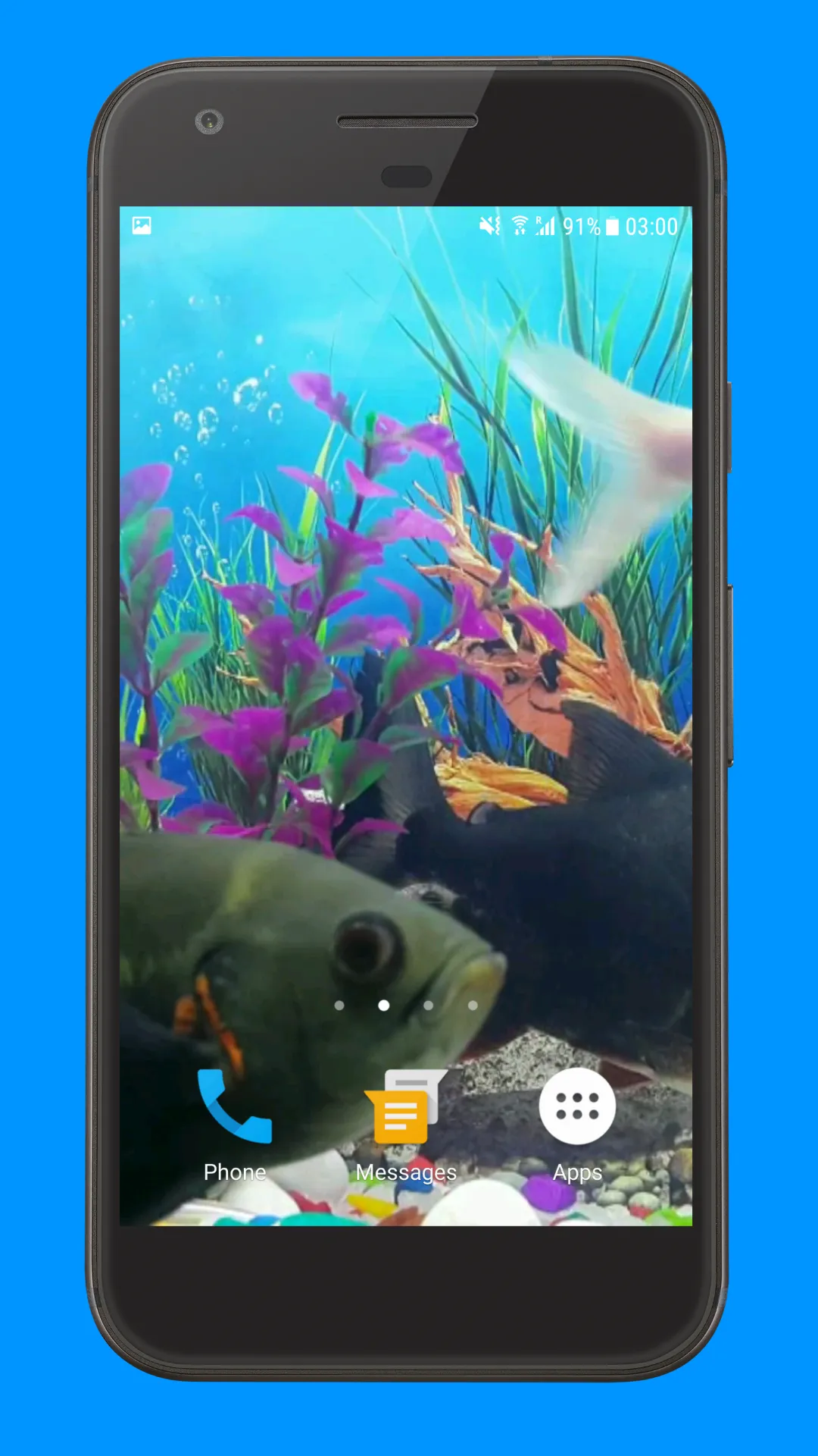 Oscar Fish Aquarium Video 3D | Indus Appstore | Screenshot