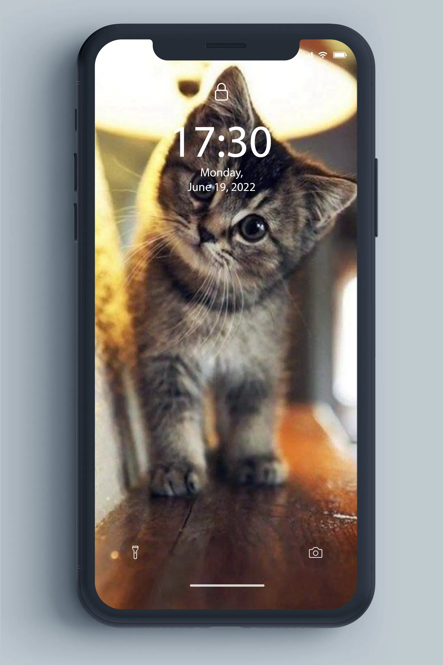 Kitten Wallpaper | Indus Appstore | Screenshot