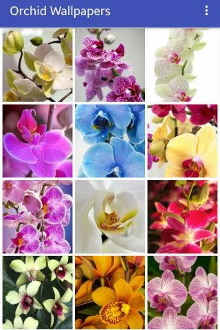 Orchid Wallpapers | Indus Appstore | Screenshot