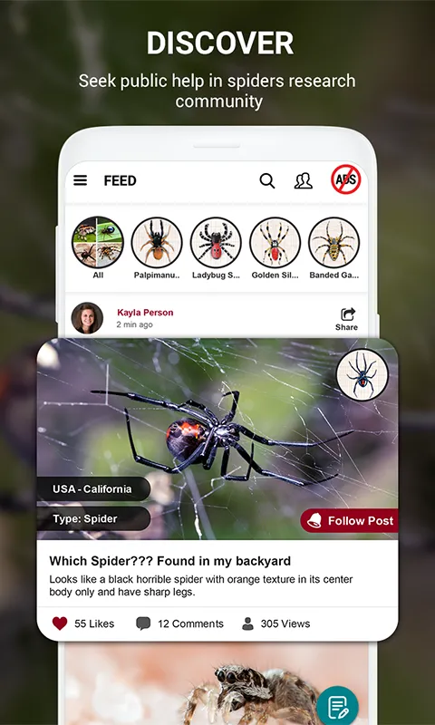 Spider Identifier App by Photo | Indus Appstore | Screenshot